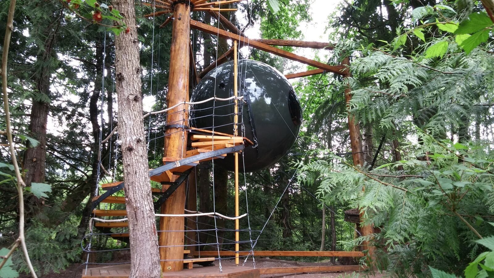 Free Spirit Spheres | unique spherical glamping and treehouses in Vancouver  Island | Canada