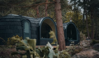 Mount Congreve Forest Hotel cabins